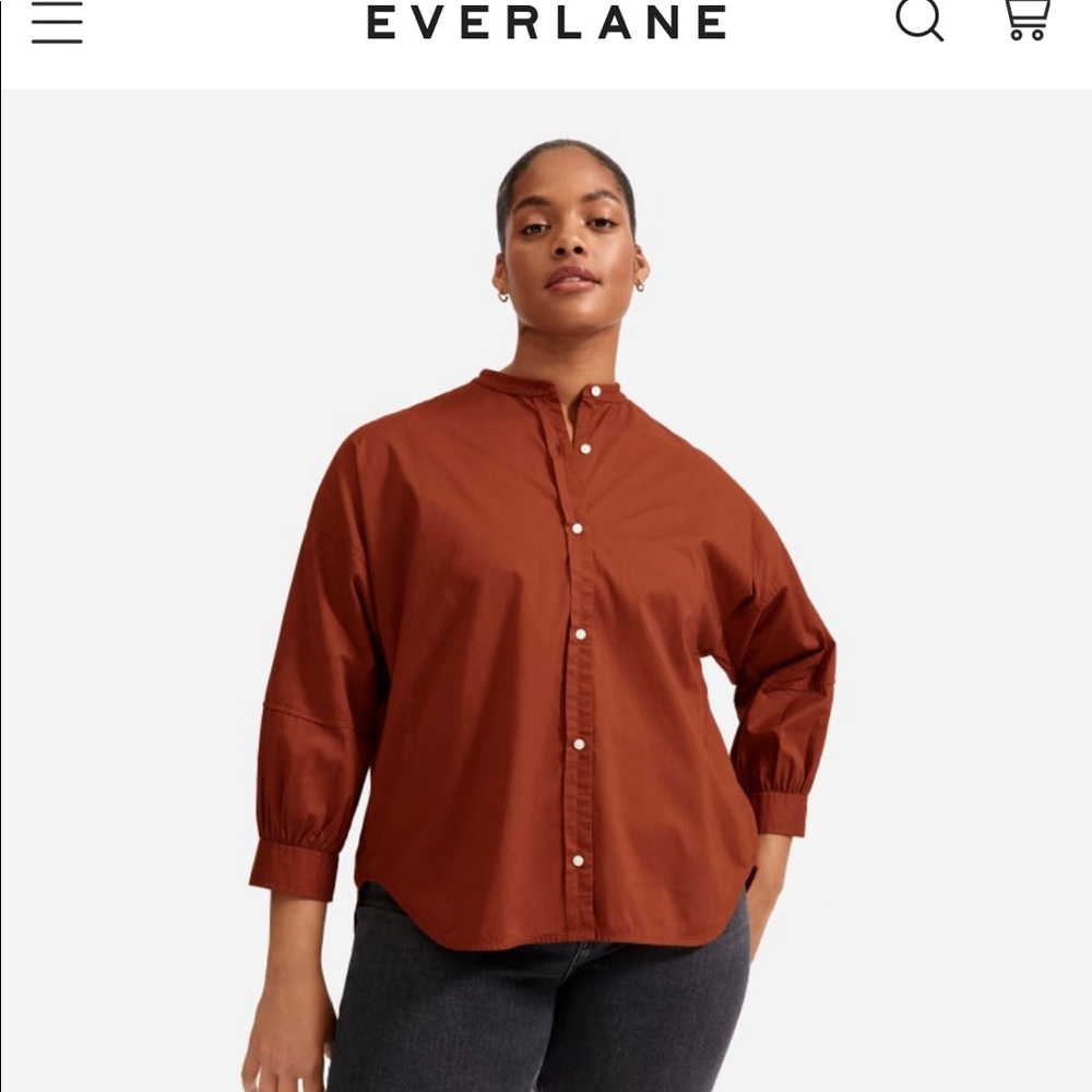 Everlane The Collarless Air Shirt